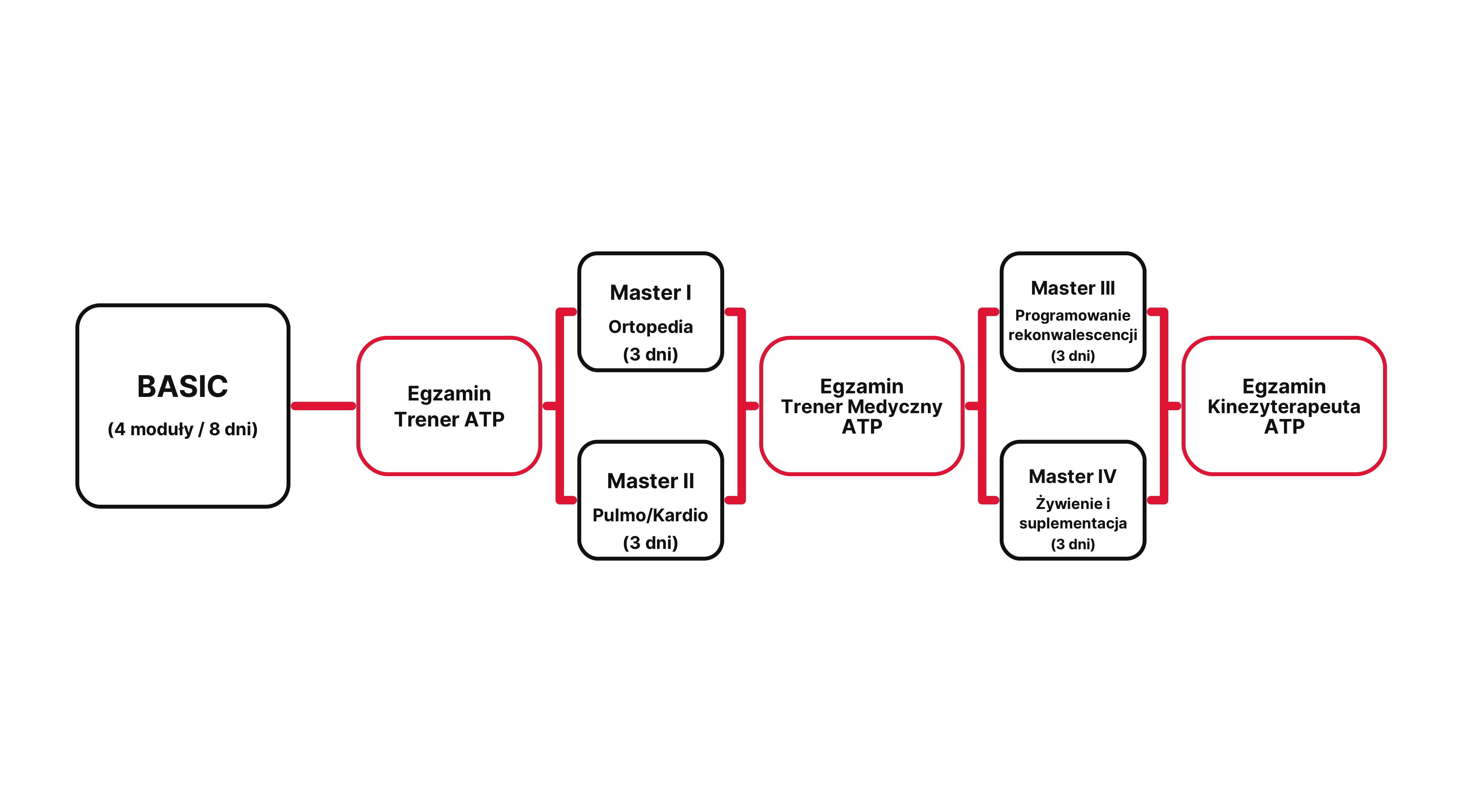 Ścieżka edukacji ATP Method