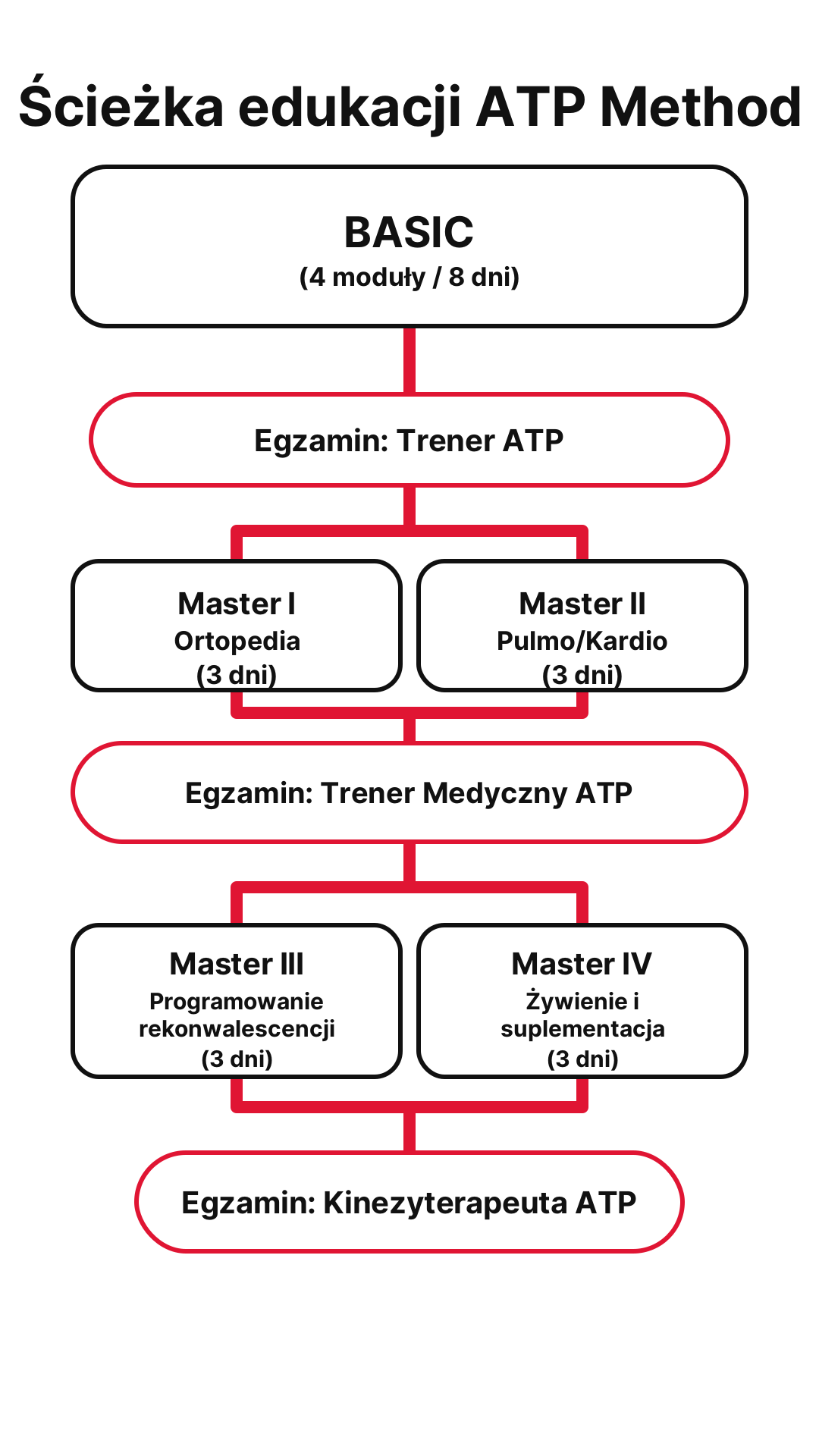 Ścieżka edukacji ATP Method